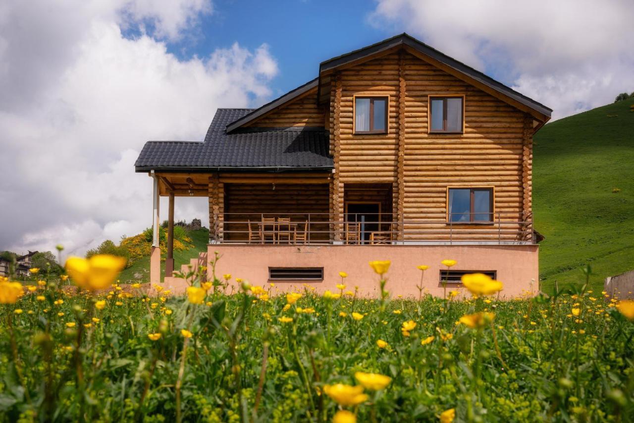 Snow Time Eco Chalet กูเดาริ ภายนอก รูปภาพ